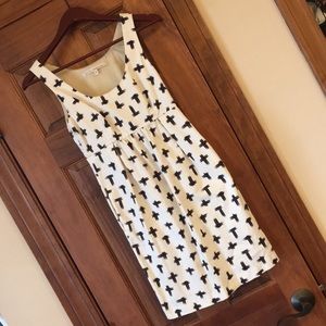 Rachel Roy Office Dress